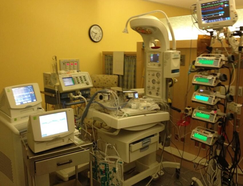 Xander – “Xander’s Meander”