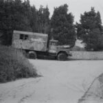 box truck parked beside pine trees