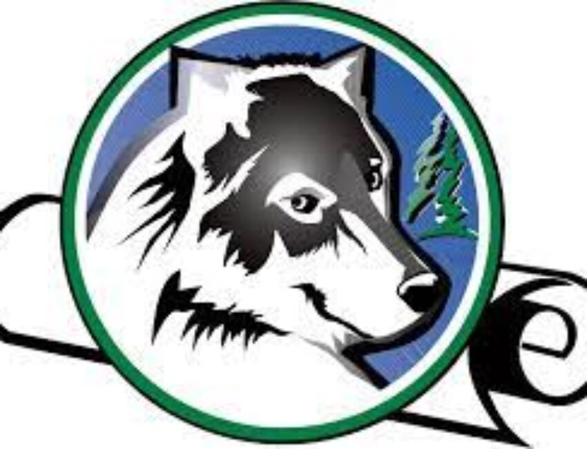 Timberline Middle School Band